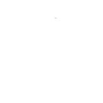 Guidance and Support