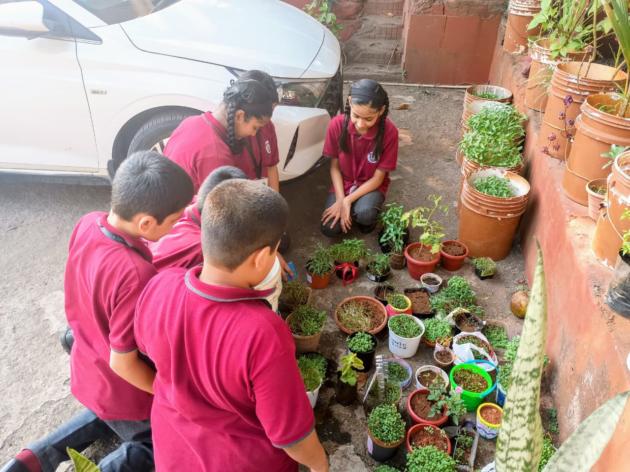 WhatsApp Image 2026-03-30 at 2.18.44 PM